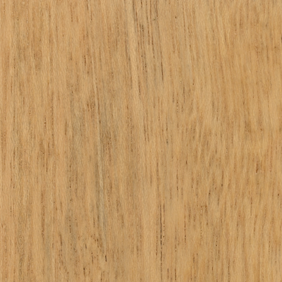 EnduraGreen Waterborne Stain Seven Oats by oz