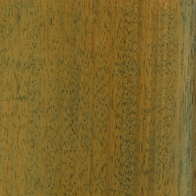 EnduraGreen Waterborne Stain Monterey Bay by oz