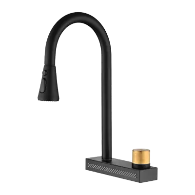 [TDF3105-BLK] Multi Function Kitchen Faucet Matte Black